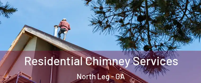 Residential Chimney Services North Leg - GA