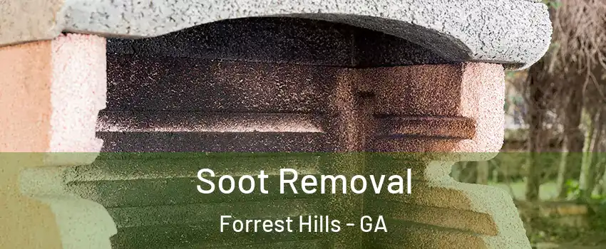 Soot Removal Forrest Hills - GA