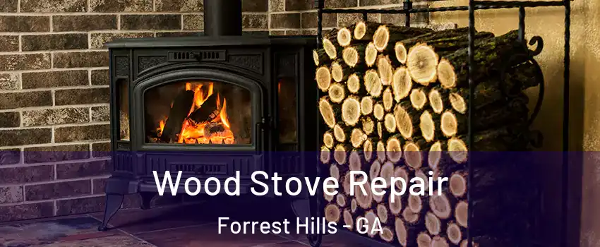 Wood Stove Repair Forrest Hills - GA